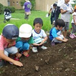 畑プロジェクト7月13日の様子