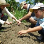 畑プロジェクト8月17日の様子