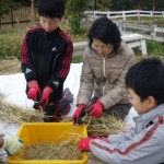 畑プロジェクト11月30日の様子