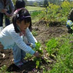 畑プロジェクト4月5日の様子