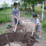 畑プロジェクト6月21日の様子