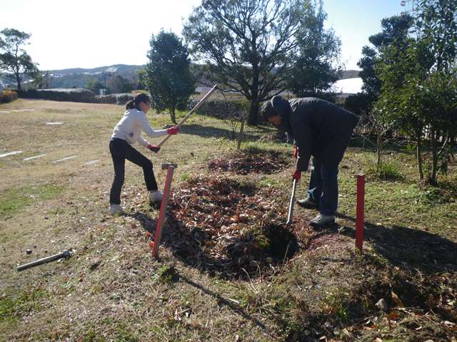 畑プロジェクト12月27日の様子