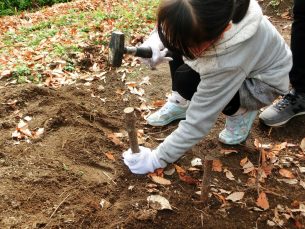 12月の畑