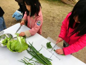 とってたべるあそぶ