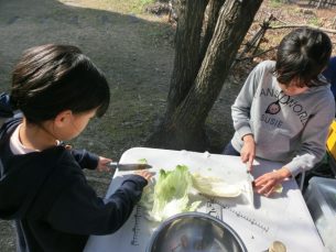 1月の畑