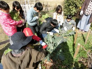 2月の畑