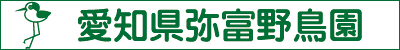 愛知県弥富野鳥園